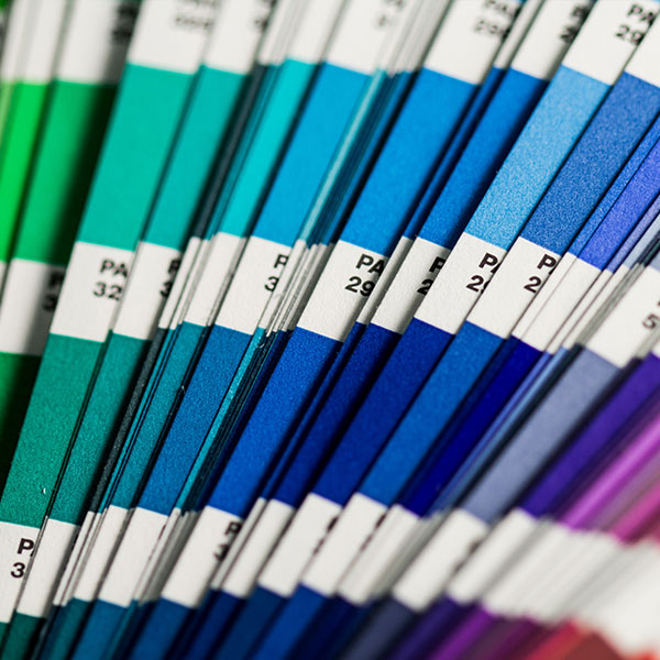 An image of a colour chart.