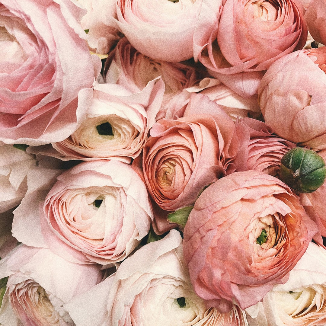 An image of wedding flowers.