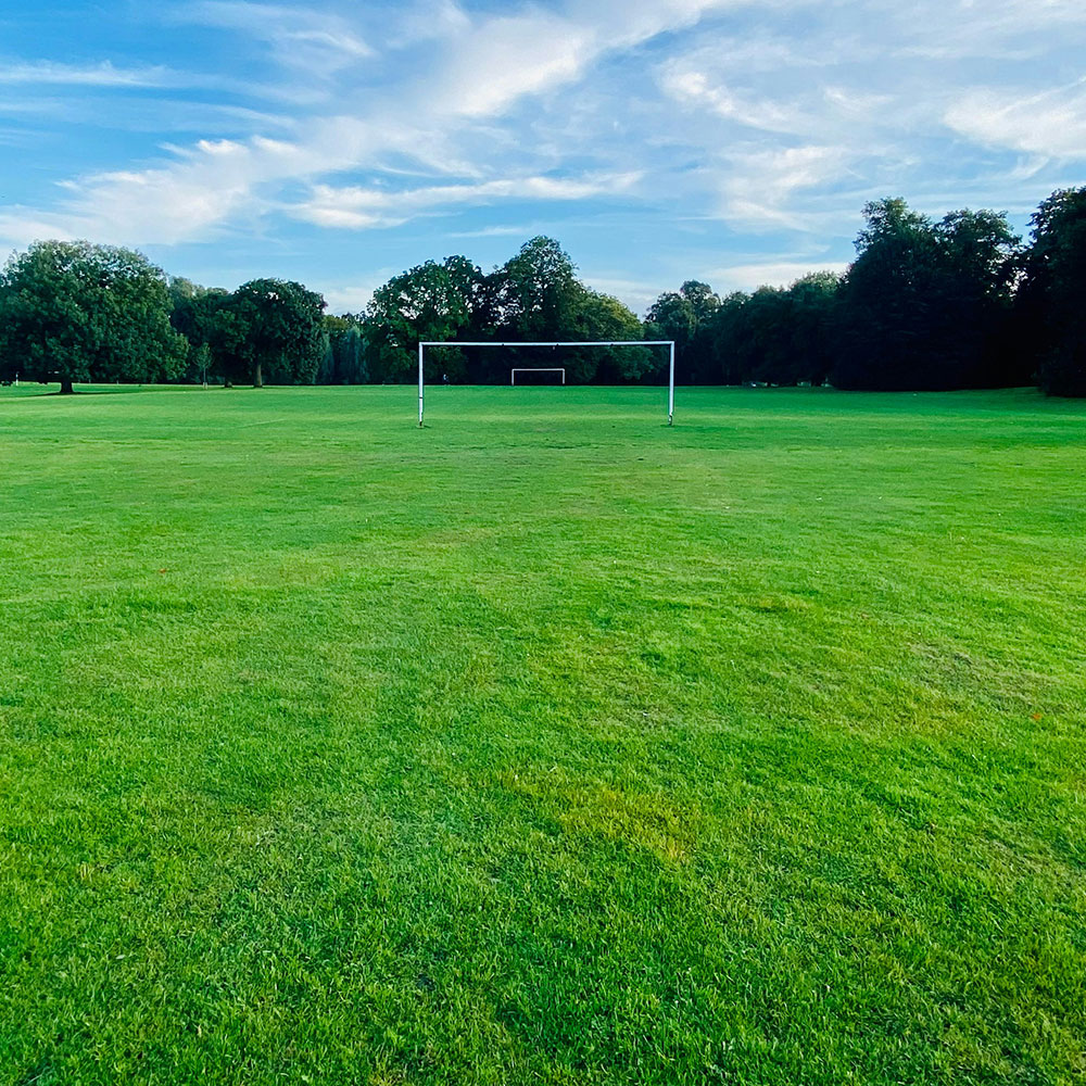 An image of a football pitch.