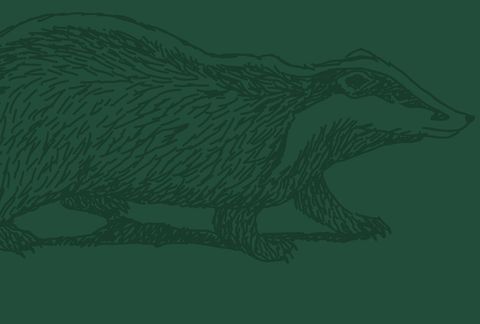 An image of a badger illustration.