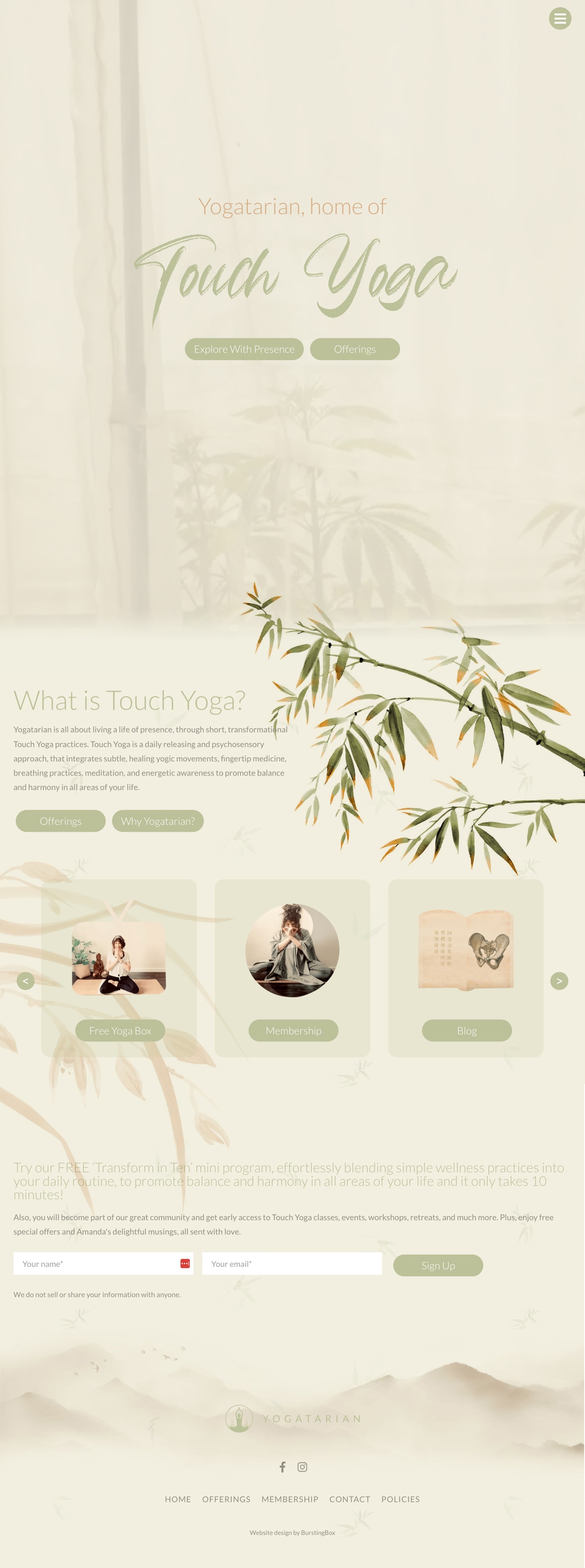 An concept of the Yogatarian homepage on a computer.