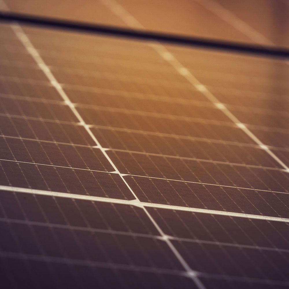 An image of a solar panel up close. Image